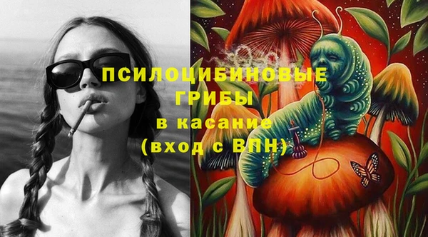гашик Алексеевка