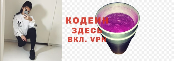 не бодяженный Алексин